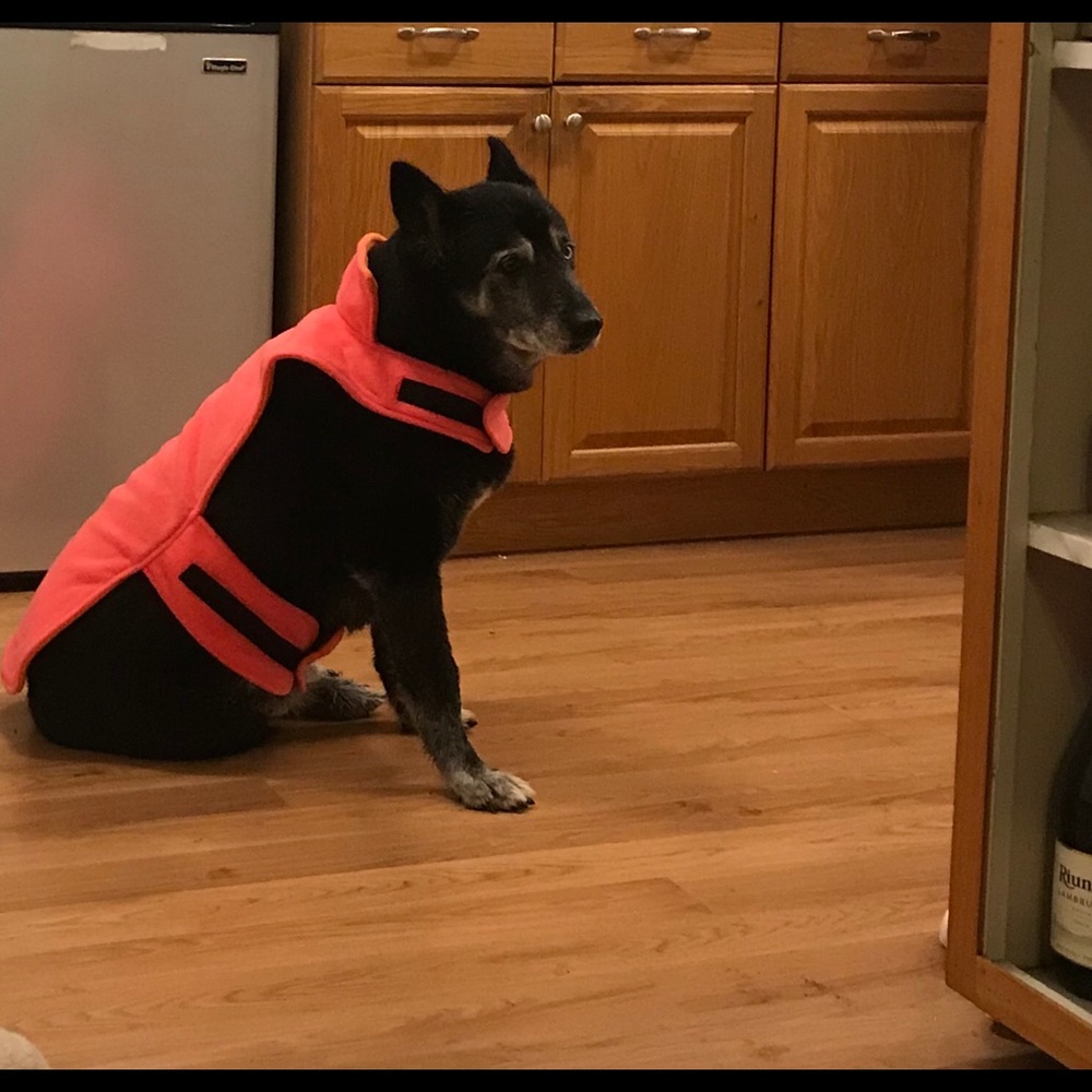 Meet your Posher, Jennifer